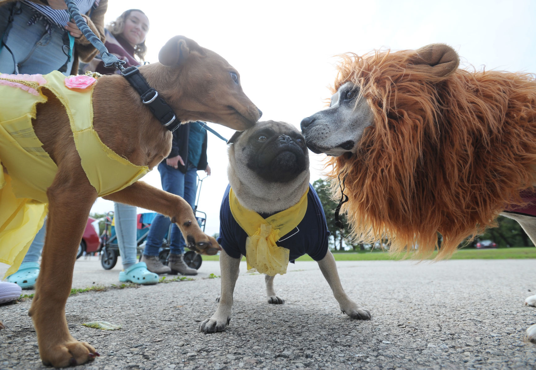 COSTUME CONTEST